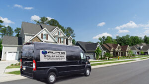 Picture of Author : Alpha International Movers